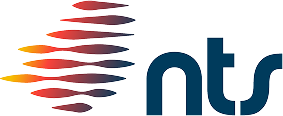 logo_NTS_colorido_1